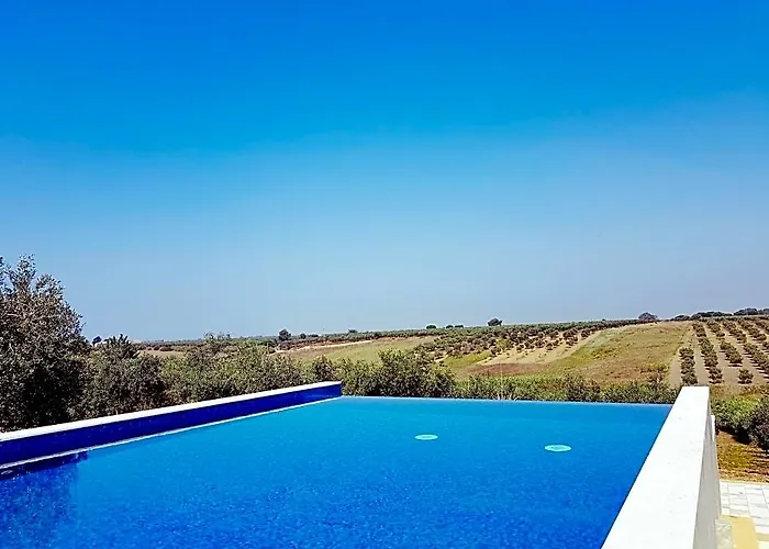 Momentum Wellness Bio Resort